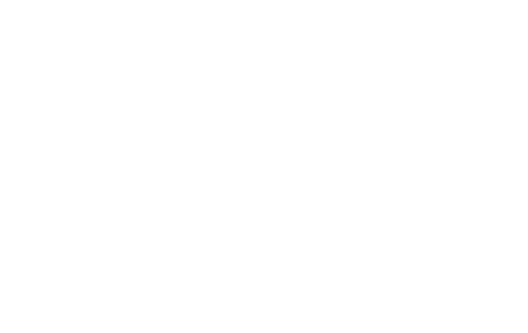 RENY Houtkachels en houthaarden logo